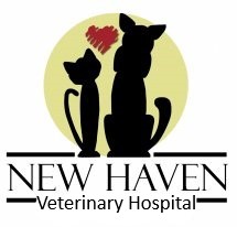 New Haven Veterinarian Clinic